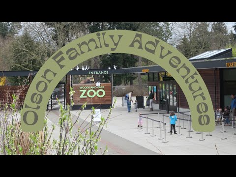 A Day at the Woodland Park Zoo in Seattle, WA