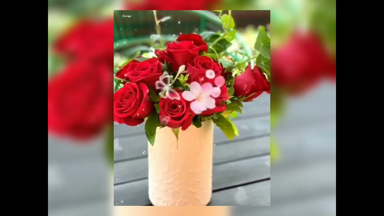 Happy rose day wallpaper images video what's app stetus video 