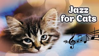 ♬ Relaxing Jazz Music for Cats ♬ Jazz for Cats 20 hours screenshot 4
