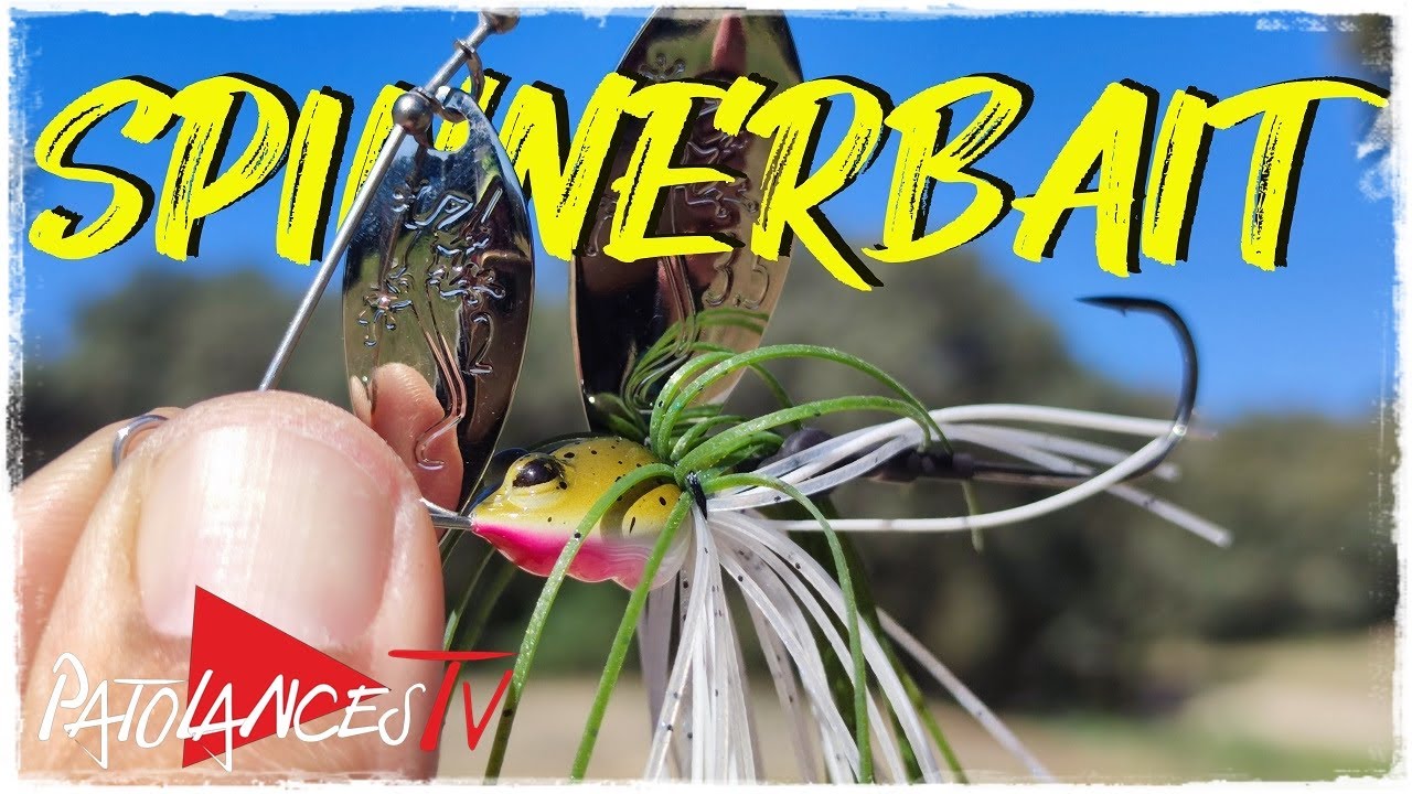 𝐏𝐞𝐬𝐜𝐚 𝐜𝐨𝐧 𝐒𝐏𝐈𝐍𝐍𝐄𝐑𝐁𝐀𝐈𝐓 🐋🔝. 𝐓𝐨𝐝𝐨 𝐥𝐨 𝐪𝐮𝐞 𝐝𝐞𝐛𝐞𝐬 𝐬𝐚𝐛𝐞𝐫 ️📋📌 YouTube