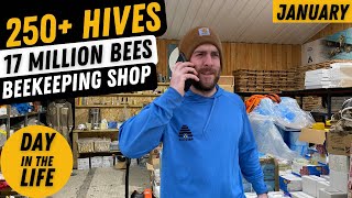 Day In The Life Of A Beekeeping Entrepreneur. January