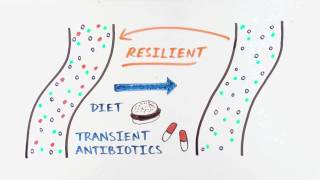 Enterome: the gut microbiome and its impact on our health