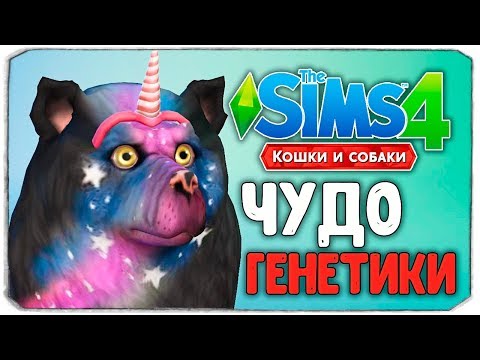ვიდეო: როგორ უნდა მართოს კოდები The Sims- ში