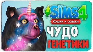 ЧУДО ГЕНЕТИКИ, УГАРНЫЕ СОБАКЕНЫ  The Sims 4 'Кошки и Собаки'