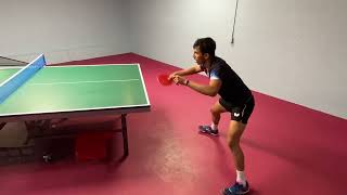 The Ultimate Table Tennis Simulator screenshot 5