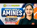 Amines Class 12th Lecture 1 | Class 12th Chemistry Chapter 13 | HSC Board 2027 | Vanshika Mam