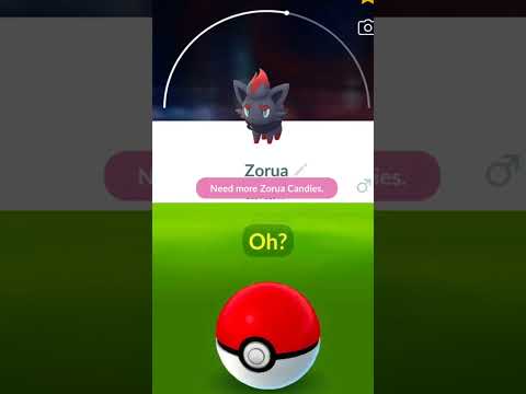 How To Catch Zorua In Pokemon Go | Finally Caught One - Event Details |