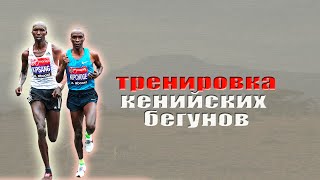 как ТРЕНИРУЮТСЯ КЕНИЙСКИЕ БЕГУНЫ. Training the Kenyan runners