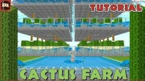 How to make cactus farm in nether games,Skyblock?|This is the best cactus farm.|