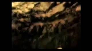 Link Turns Into Wolf Tf-Transformation