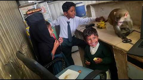 Monkey Baby Bon Bon Game jelly in the room with duckling and goes to the farm With Puppy