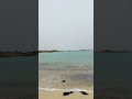 নরওয়ের বরফে ঢাকা সৈকত! ❄️ Sommarøy Beach in Winter (বাংলাদেশের গরমে বিশ্বাস হবে না!)