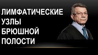 Лимфатические узлы брюшной полости и таза