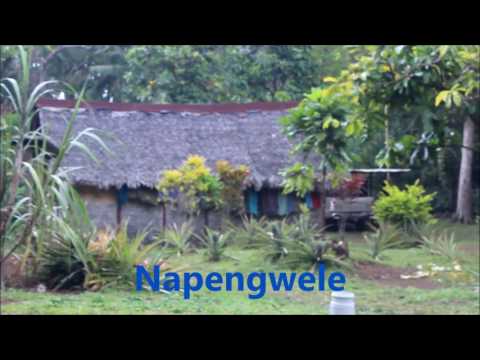 Video: Serologische Maßnahmen Zur Bewertung Der Wirksamkeit Des Malariakontrollprogramms Auf Ambae Island, Vanuatu