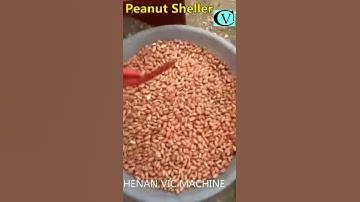 Peanut Sheller Working Video From Henan Vic Machine