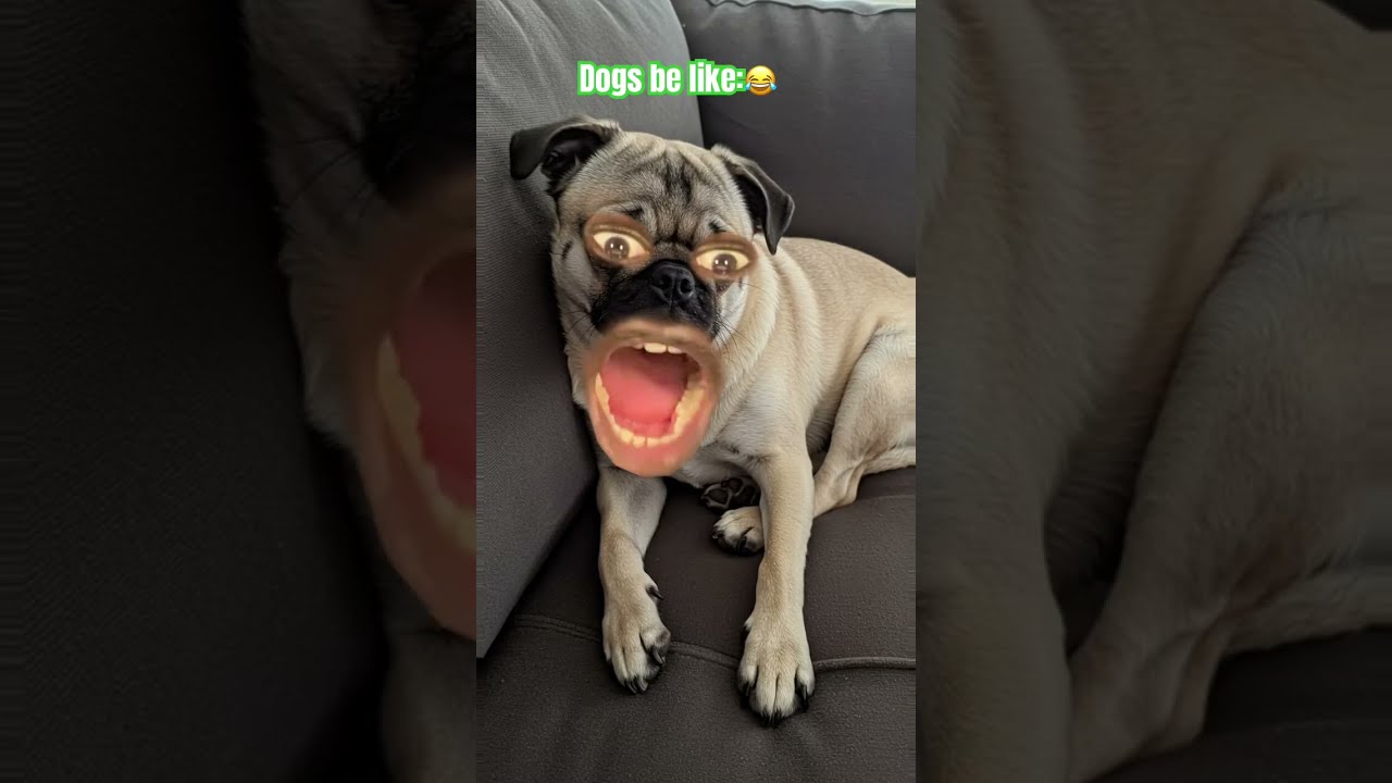 Funny Comedy Butifyoucloseyoureyes Duet