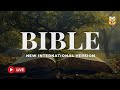 NIV Holy Bible Reading – Strengthen Your Heart with God’s Word 🔴 BibleVision LIVE