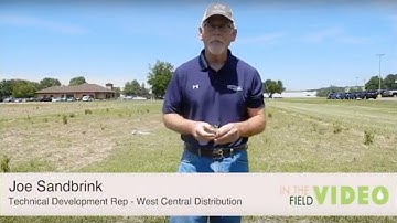 Exploring Resistant Weeds: Palmer Amaranth with Joe Sandbrink Part II - In The Field Episode 26