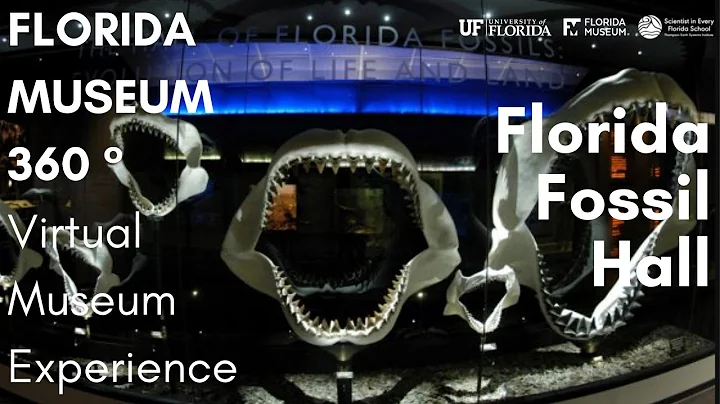 FLMNH 360: Florida Fossils: Evolution of Life and ...