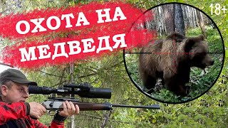 Охота на медведя. Три вечёрки на лабазе