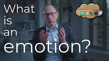 Quelles sont les principales émotions ?