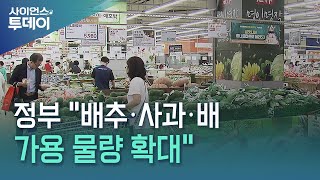 정부 &quot;배추·사과·배 정부 물량 확대...쇠고기 최대 50% 할인&quot; / YTN 사이언스