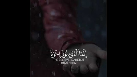 قرآن كريم بصوت جميل جدا | حالات واتس اب دينية | تلاوة خاشعة