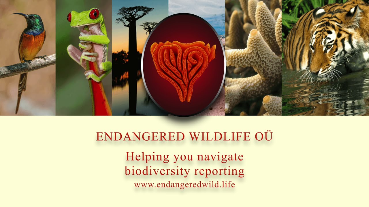 EW Valuator Demo Video