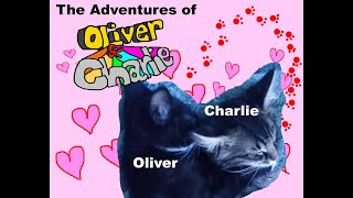 The Kitty Show : Oliver and Charlie Episode 01  Intro and Purrs
