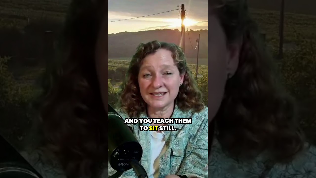 Effective strategies for training children to behave in church