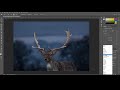 How to add a glow effect in photoshop  part3 adding glow v1