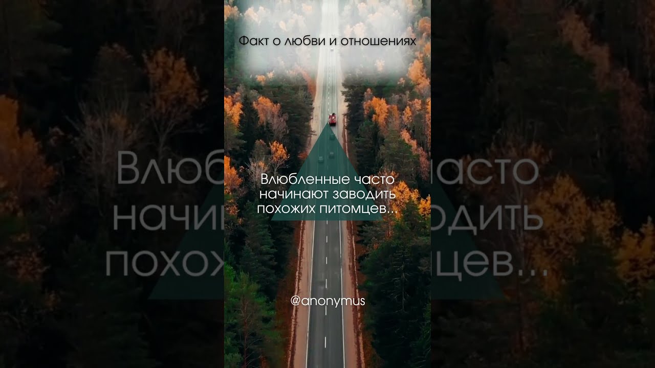 #Фактолюбвииотношениях