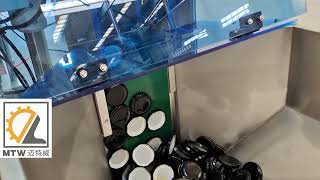 MTW filling machine   Automatic garlic paste filling line