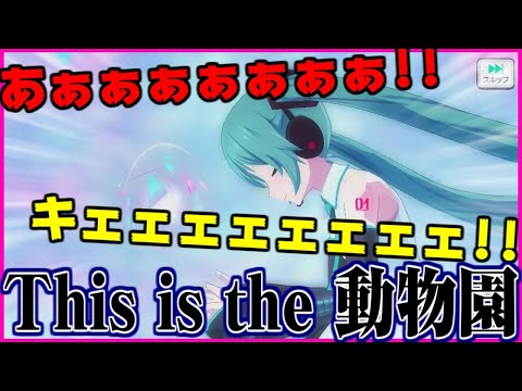 【プロセカ】ゆとつきの前世は多分猿 ※音量注意※【メンバーシップ限定】
