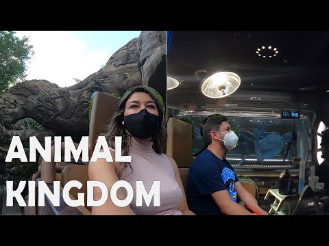 Video: Lo que debe saber sobre visitar el Reino Animal de Disney durante la pandemia