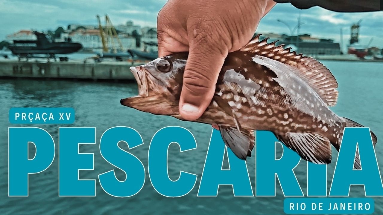 Resolvi pescar na Praça XV e aconteceu isso… 🎣#pesca #fishing #iscaartificial #baiadeguanabara
