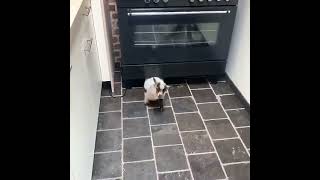 Michael Phelps with the longest televised putt ever at 160 feet. Yes. Michael Phelps.