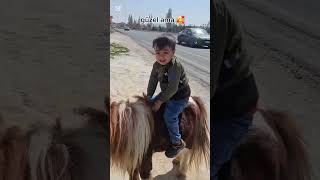 Güzel Dediğim Her Şeyin Sonu. Halilişko