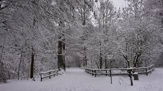 Lausanne Suisse - Primera nevada en otoño 2020 - bellisima