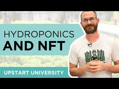 Why is NFT mostly used in hydroponic systems?