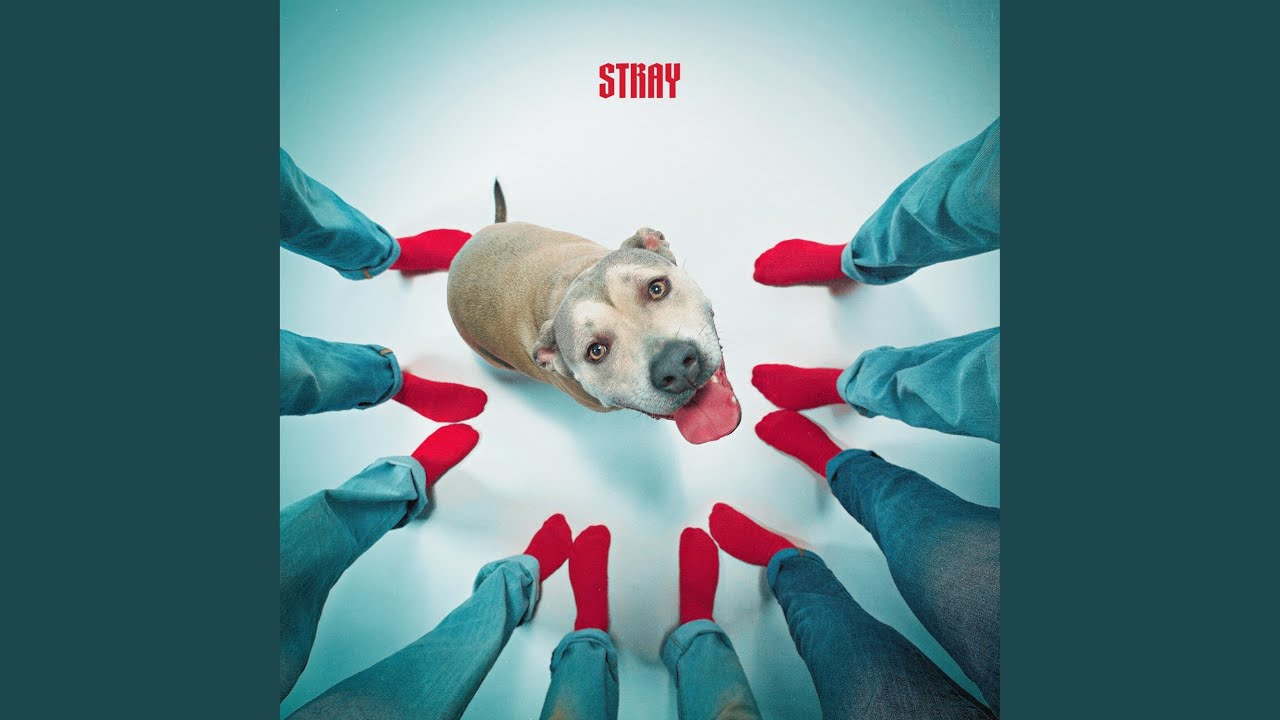 Watch Stray on YouTube Watch Stray on YouTube