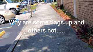Post Office first amendment audit mask audit Plantation, fl.
