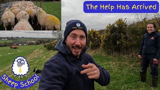 Housing The Triplets, Lambing Help Arrives and Feet Problems.