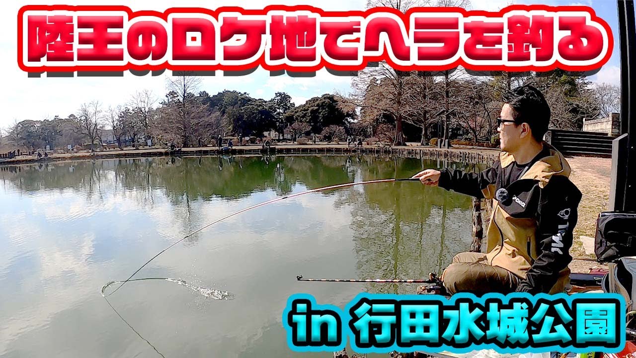 野釣り 埼玉県行田市の水城公園でヘラブナ釣り のんびりと釣りを楽しむつもりが Youtube