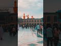 مغركني خيرك وأضل عمري ممنونك