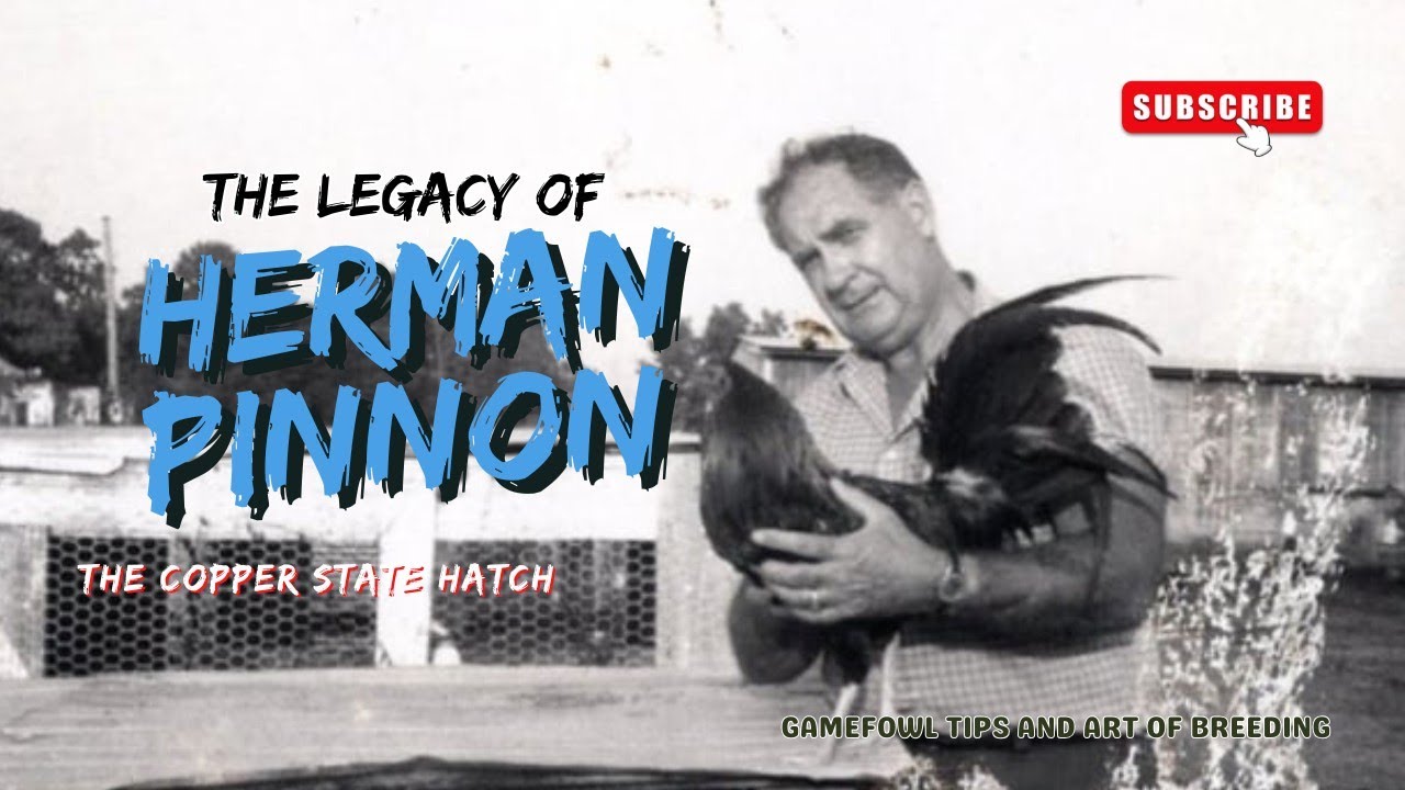 Herman Pinnon: (Yellow Legged Hatch) The Copper State Hatch Legacy | A Gamefowl Breeding Legend