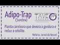 Adipo-Trap (Sundew) - Planta Carnívora que Devora a Gordura e Reduz a Celulite