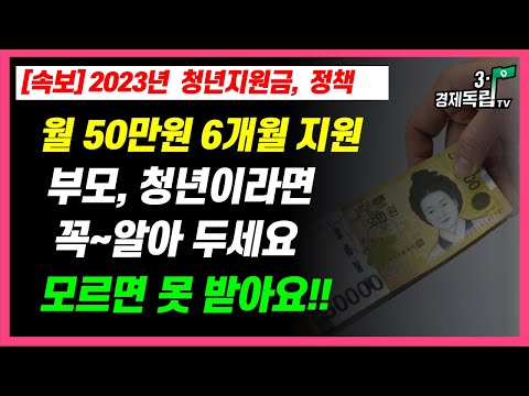 월 50만원 6개월 지원 2023년 청년지원금 정책 부모 청년이라면 꼭 알아두세요 모르면 못 받아요 3 1경제독립tv 