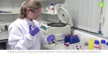 How to perform 3D cell culture