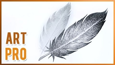 How to Draw a FEATHER step by step
